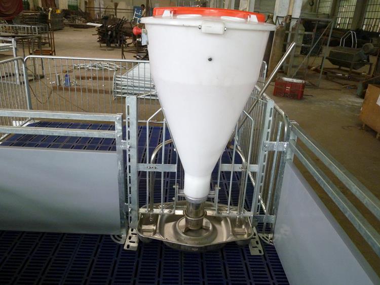 pig dry wet feeder 8.jpg