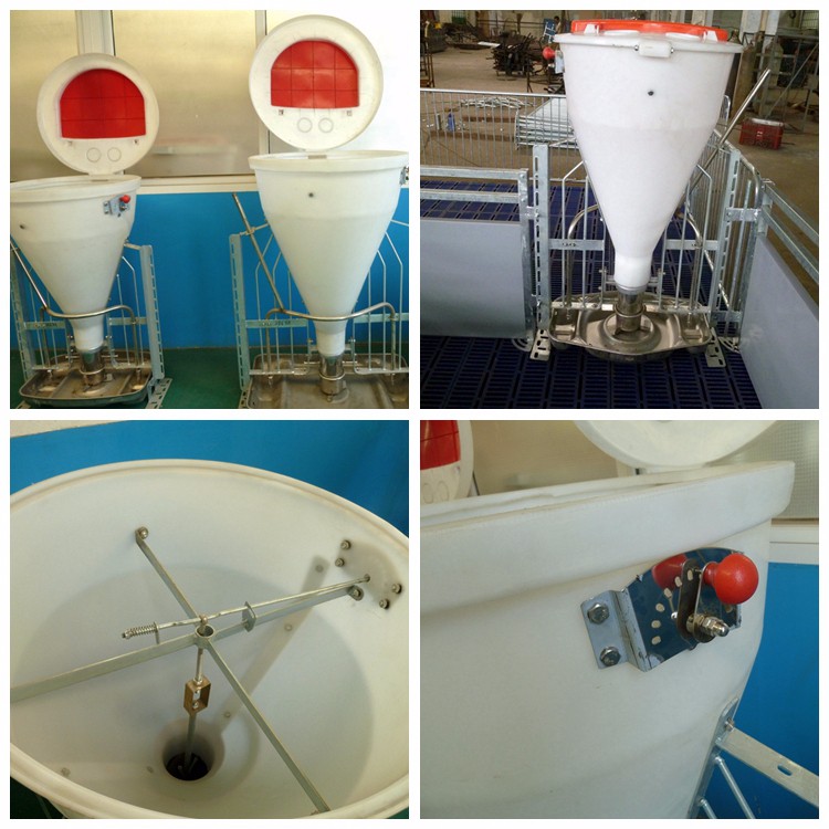 pig dry wet feeder 10.jpg