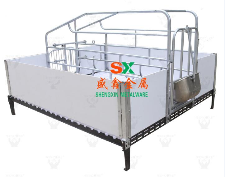 Sabuwar Walfare-Type Farrowing Catrat na sayarwa daga Shengxin