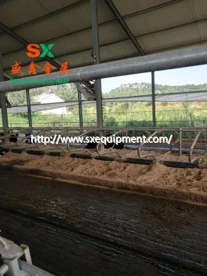 Farm Cow Free Stall Cubicle